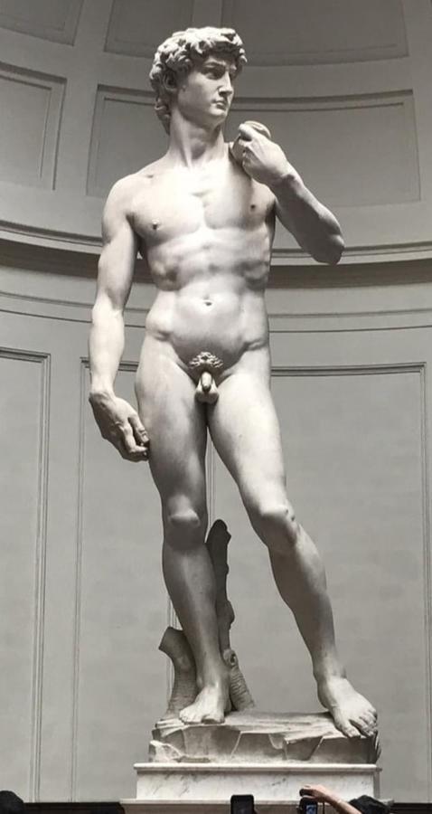 피렌체 Dependace Il David Di Michelangelo 아파트 외부 사진